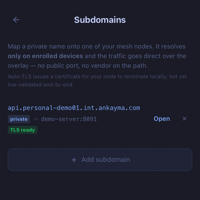 Ankayma app — a private branded name mapped to your service, TLS ready